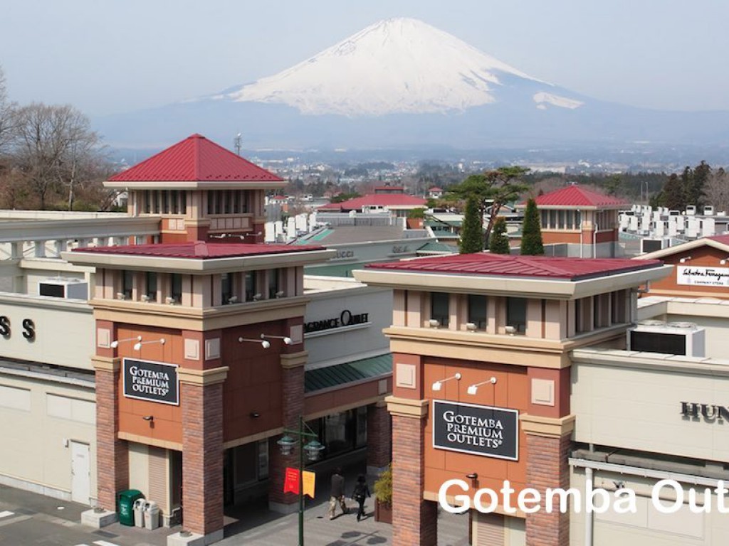 Shibazakura & Gotemba Outlet Day Trip 1